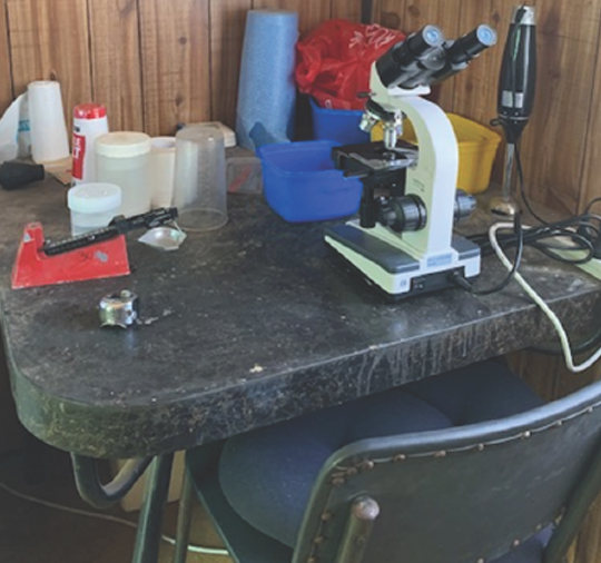 Equipment for worm egg counting
